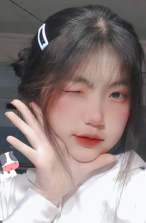 蜡笔小新我们的恐龙日记免费观看
